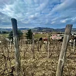 Poderi Zunino * Ponti