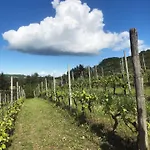 Gospodarstwo agroturystyczne Poderi Zunino Ponti