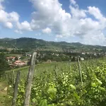 Poderi Zunino Ponti