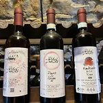 Gospodarstwo agroturystyczne Poderi Zunino Ponti