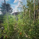 Gospodarstwo agroturystyczne Poderi Zunino *
