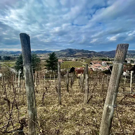 Poderi Zunino * Ponti