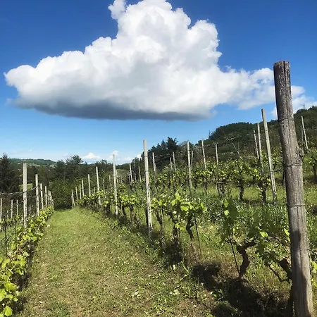 Vakantieboerderij Poderi Zunino Ponti