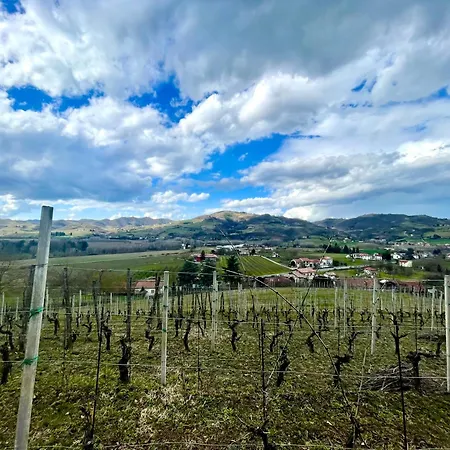 Poderi Zunino Ponti