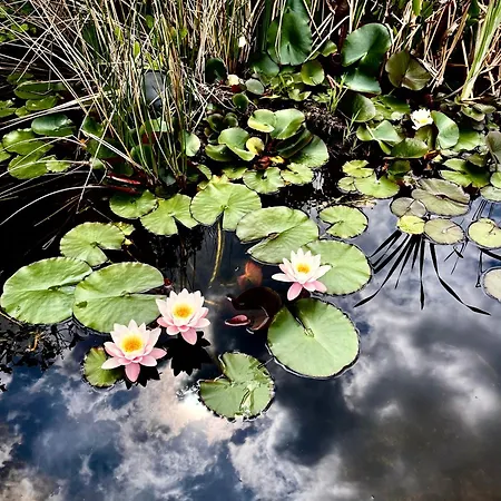 Çiftlik konaklama Poderi Zunino *