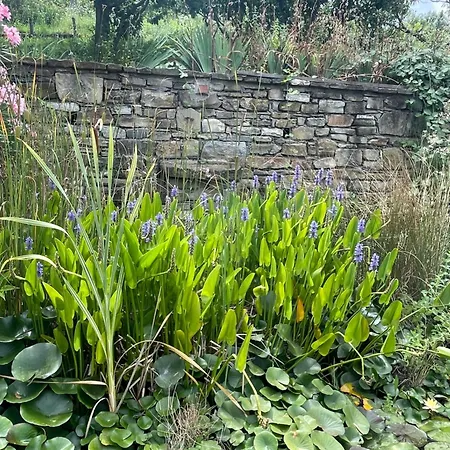 Vakantieboerderij Poderi Zunino