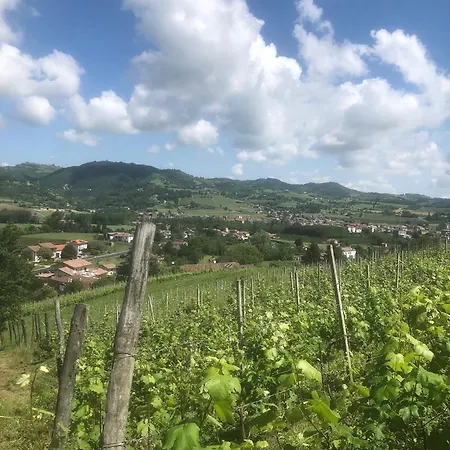 Poderi Zunino Ponti