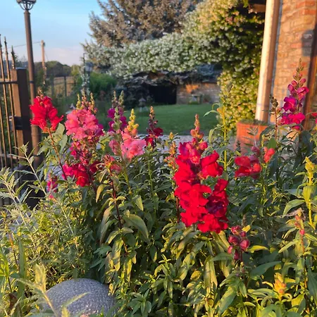 Poderi Zunino * Ponti