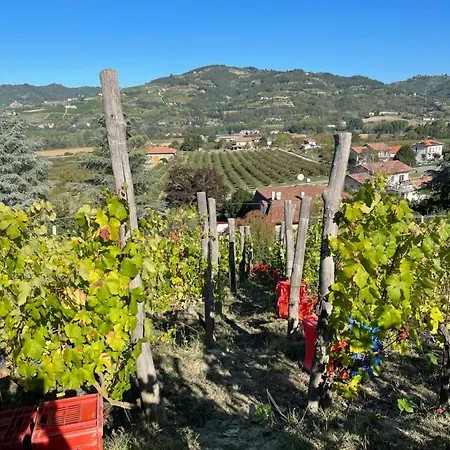 Poderi Zunino Ponti