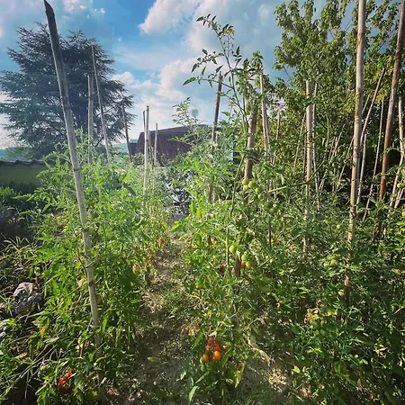 Vakantieboerderij Poderi Zunino *