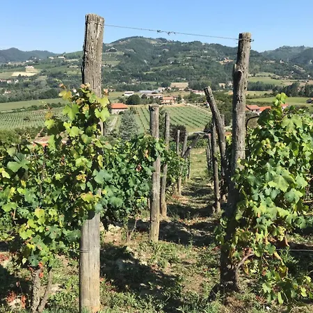 Poderi Zunino *