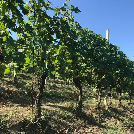 Bauernhof Poderi Zunino *