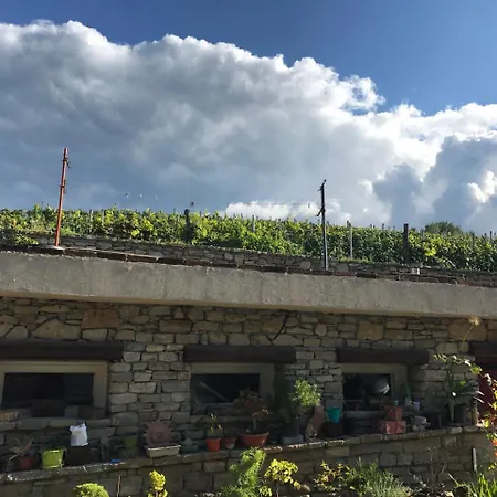 Bauernhof Poderi Zunino