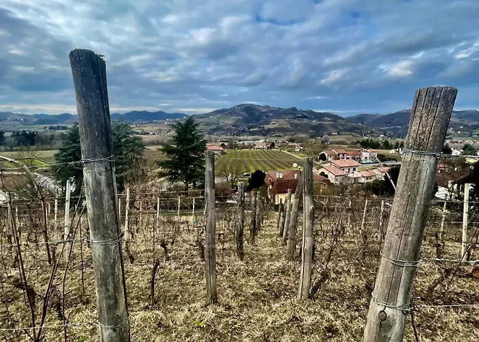 Poderi Zunino * Ponti