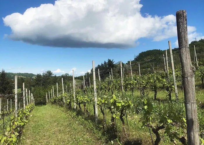 Lantgård Poderi Zunino Ponti