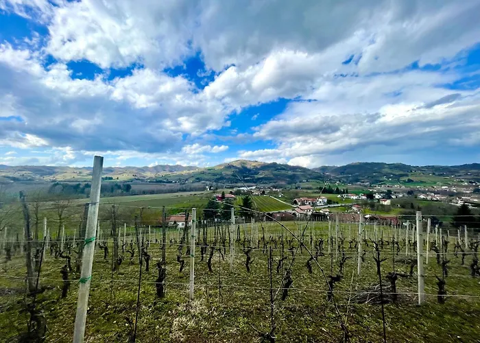 Poderi Zunino Ponti