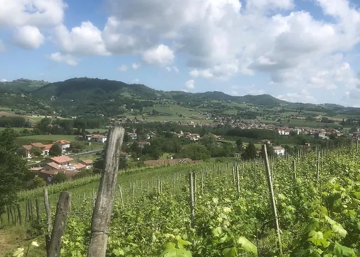 Poderi Zunino Ponti