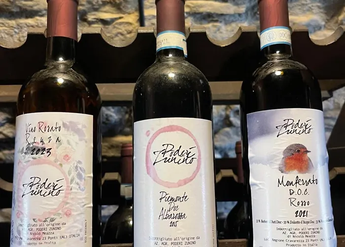 Vakantieboerderij Poderi Zunino Ponti