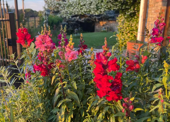 Poderi Zunino * Ponti