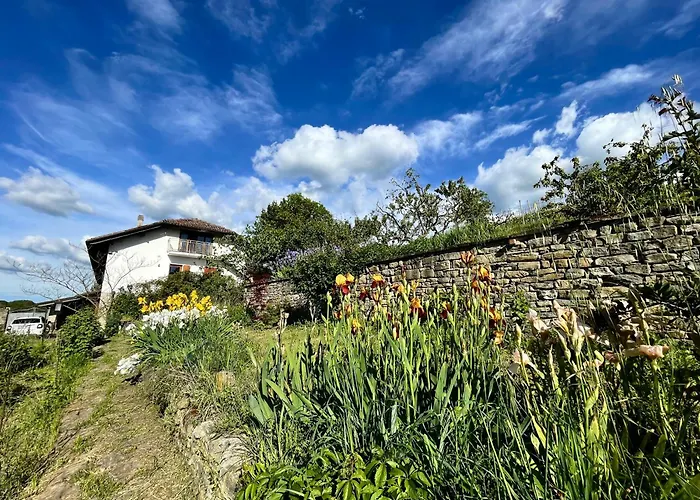 Lantgård Poderi Zunino