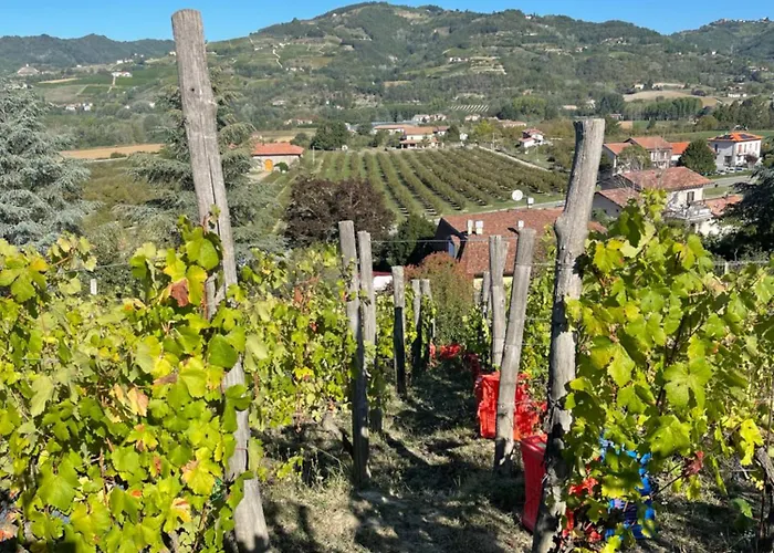 Poderi Zunino Ponti